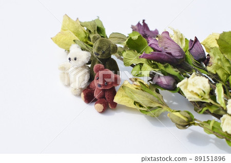 幹聖誕玫瑰花和泰迪熊 幹聖誕玫瑰花和泰迪熊 89151896
