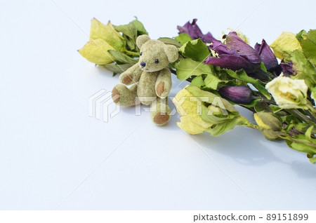 幹聖誕玫瑰花和泰迪熊 89151899