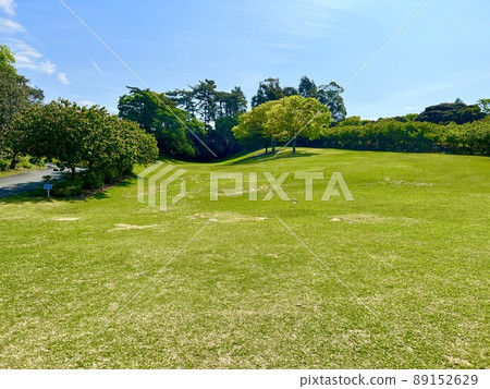 Clear summer blue sky and wide, gentle lush grass hills and trees 89152629