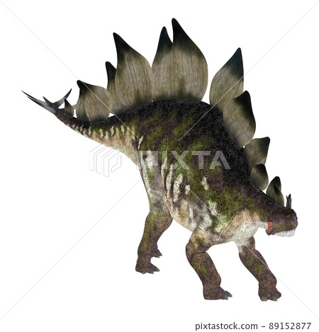 Stegosaur ☆ Stegosaur Stegosaur ☆ Stegosaur 89152877