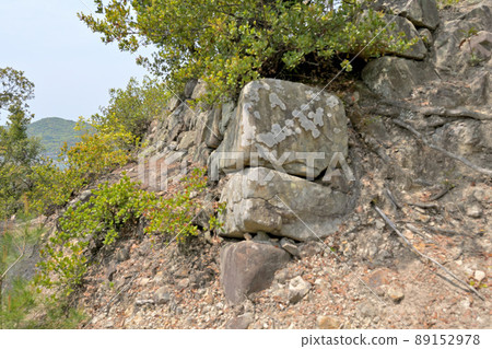 Stone wall, Kuruwa and view of Sanuki Province "Hiketa Castle" Stone wall, Kuruwa and view of Sanuki Province "Hiketa Castle" 89152978