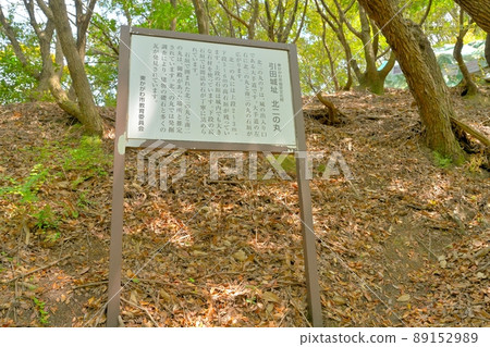 Stone wall, Kuruwa and view of Sanuki Province "Hiketa Castle" 89152989