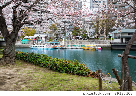 It is the scenery of the Peace Memorial Park in spring. The cherry blossoms are just before full bloom. You can see the World Heritage Tour Boat and the pier. Hiroshima Prefecture 89153103
