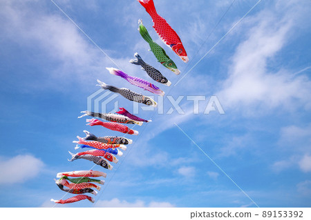 在藍天的鯉魚飄帶 89153392