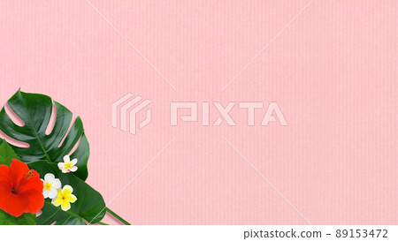 Tropical atmosphere background material Tropical atmosphere background material 89153472