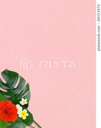 Tropical atmosphere background material Tropical atmosphere background material 89153473