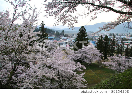 Spring Kamegashiro Park (Inawashiro Town, Fukushima Prefecture) Spring Kamegashiro Park (Inawashiro Town, Fukushima Prefecture) 89154308