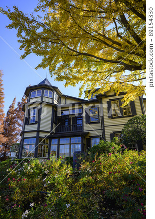 Diplomat's house Diplomat's house 89154330