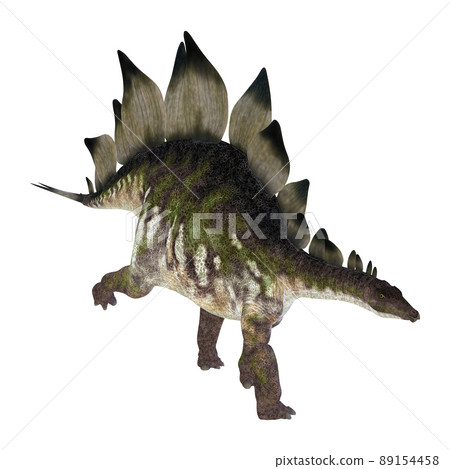 Stegosaur ☆ Stegosaur Stegosaur ☆ Stegosaur 89154458