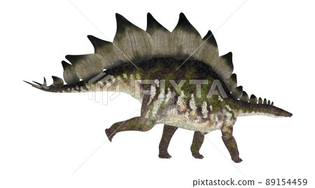 Stegosaur ☆ Stegosaur 89154459