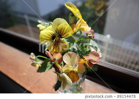 窗台上的花園花 窗台上的花園花 89154478