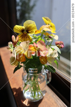 在窗台上裝飾花園裡的花 在窗台上裝飾花園裡的花 89154479