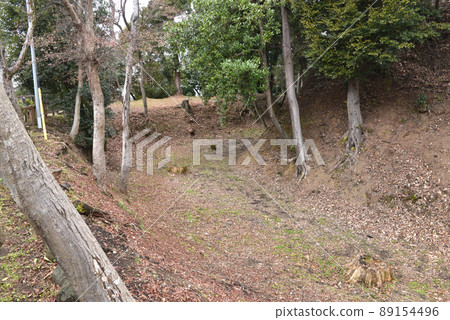 The empty moat that remains in Inuyama Castle 89154496
