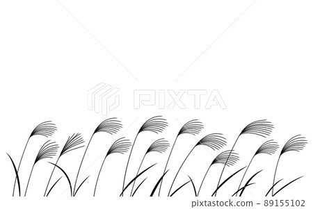 秋季植物,日本蒲葦叢生的插圖,黑白剪影 秋季植物,日本蒲葦叢生的插圖,黑白剪影 89155102