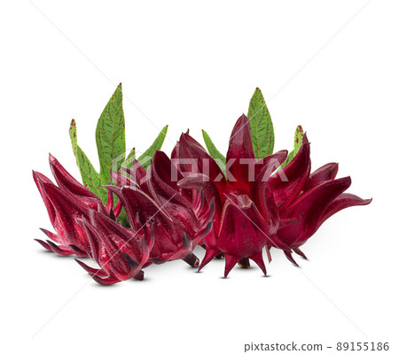 fresh roselle fruits isolated on white background 89155186