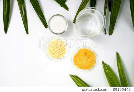 Cetyl esters wax in glass container, Candelilla wax and organic  Carnauba wax in chemical watch glass placed next to beaker surround with broadleaf lady palm leaves on white laboratory table. 89155442