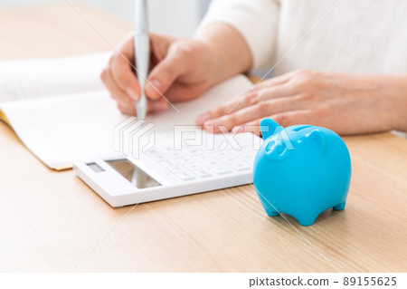 Piggy bank for middle-aged women and pigs to keep a household account book Piggy bank for middle-aged women and pigs to keep a household account book 89155625