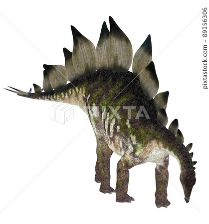 Stegosaur ☆ Stegosaur Stegosaur ☆ Stegosaur 89156306