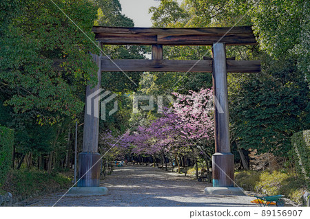 志賀近江神宮一野鳥居 89156907