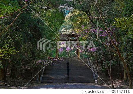 Shiga Omi Jingu Shrine Second Torii Shiga Omi Jingu Shrine Second Torii 89157318