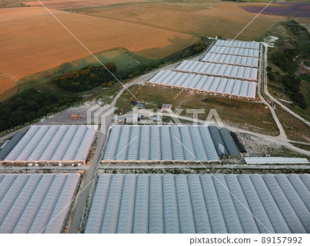 Aerial drone view of huge areas greenhouse for growing vegetables. Greenhouse farming, agriculture industry. Flying over large industrial greenhouses at sunset. 89157992