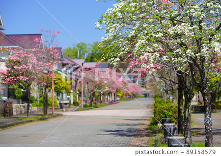 A refreshing dogwood town 89158579