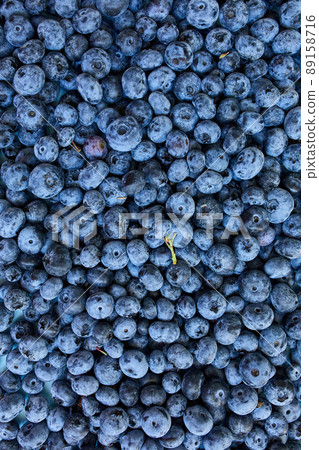 Flat lay of fresh organic juicy blueberriesl on blue background 89158716
