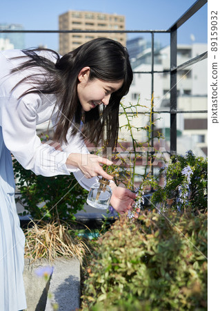 Woman spraying water on plants Woman spraying water on plants 89159032