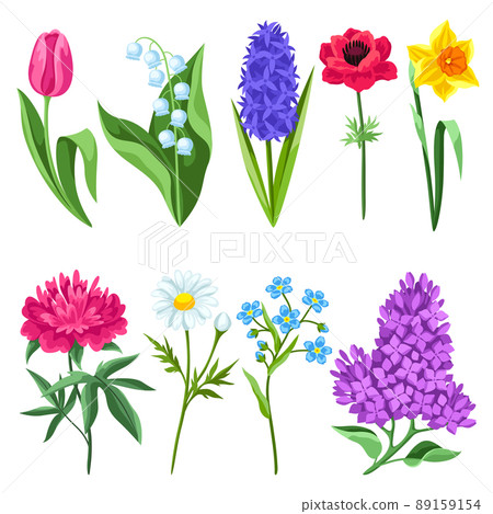 Set of spring flowers. Beautiful decorative bouquet of blooming plants. Set of spring flowers. Beautiful decorative bouquet of blooming plants. 89159154