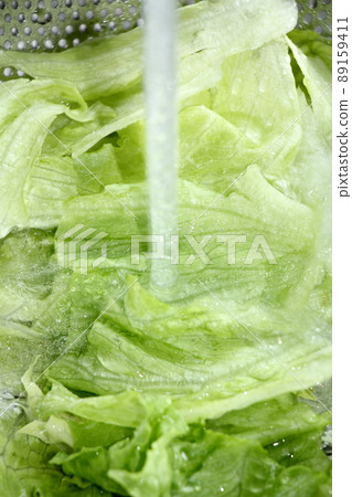Wash the lettuce with water Wash the lettuce with water 89159411