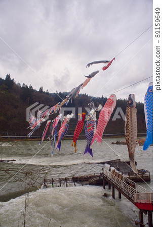 路站白鷹矢名公園錦鯉 89159649