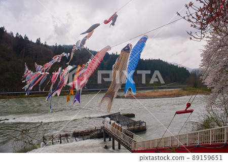 路站白鷹矢名公園錦鯉 89159651