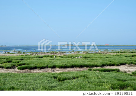 [Hokkaido] Notsuke Peninsula (Summer) 89159831