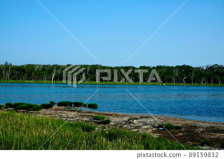 [Hokkaido] Notsuke Peninsula (Summer) 89159832