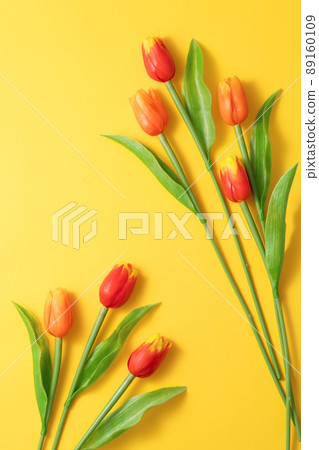 鬱金香 花束 母親節 禮物 Tulip Mother's Day 母の日 チューリップ 89160109
