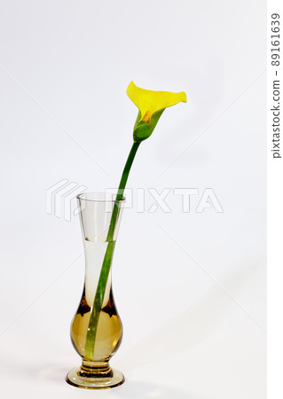 Yellow color of one-wheel insert Yellow color of one-wheel insert 89161639