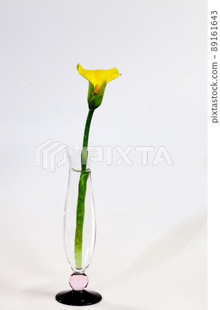 Yellow color of one-wheel insert Yellow color of one-wheel insert 89161643