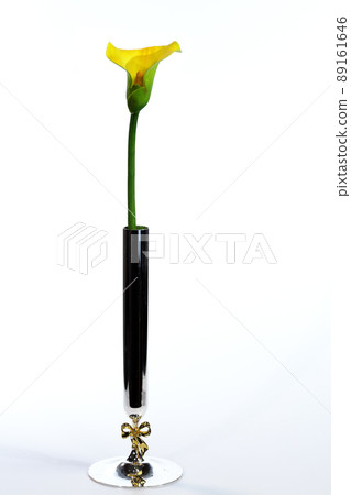 Yellow color of one-wheel insert 89161646