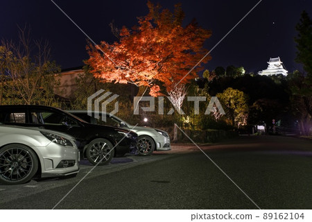 Inuyama Castle and autumn leaves Inuyama Castle and autumn leaves 89162104