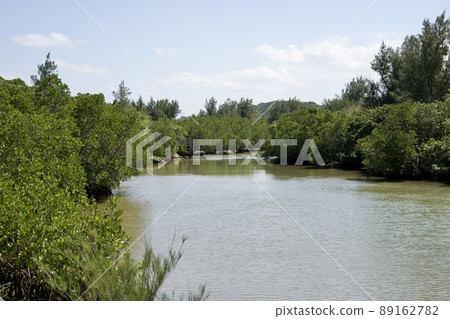 Mangrove forest and calm river scenery of Miyakojima Mangrove forest and calm river scenery of Miyakojima 89162782
