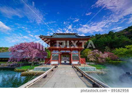 Katsuo-ji Temple and Sakura 89162956