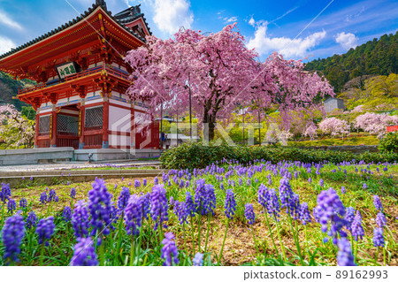 勝尾寺的寺門和入口處的鮮花 勝尾寺的寺門和入口處的鮮花 89162993