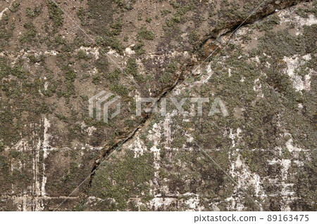 Moss and Lichen Covered Concrete Wall with Large Crack and crumbling Cement Moss and Lichen Covered Concrete Wall with Large Crack and crumbling Cement 89163475