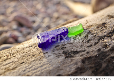 Blue and Green Sea Glass or Beach Glass on a Piece of Driftwood at Beach 89163479