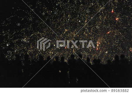 <Tokyo> Adachi Fireworks <Tokyo> Adachi Fireworks 89163882