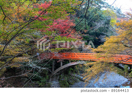 [京都] 西明寺秋葉橋 89164413