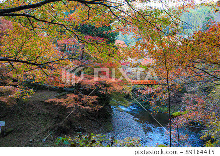[Kyoto] Saimyoji Temple Autumn Leaves Bridge 89164415