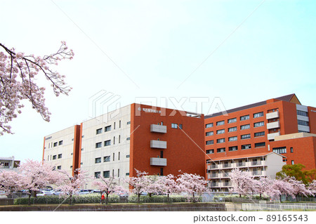 Scenery of cherry blossoms in full bloom in Atsuta-ku, Nagoya Scenery of cherry blossoms in full bloom in Atsuta-ku, Nagoya 89165543