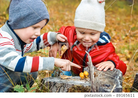 Little boys look at mushrooms grown on stump in autumn 89165611
