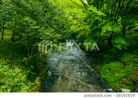 Scenery of the upper reaches of the Yame River flowing through the unexplored region of Yabe Village, Yame City, Fukuoka Prefecture Scenery of the upper reaches of the Yame River flowing through the unexplored region of Yabe Village, Yame City, Fukuoka Prefecture 89165659